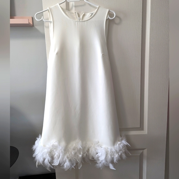 COPY - NWT River Island white feather trim mini dress - Picture 2 of 3